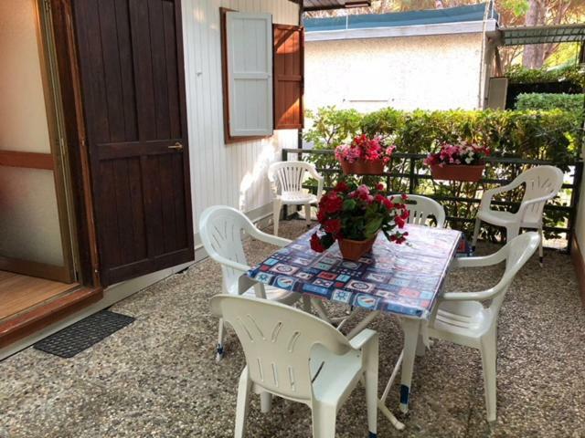 Camping Nuovo Massa  Exterior foto